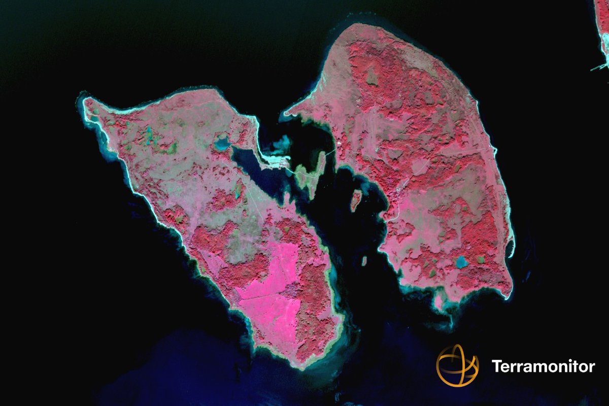 View of the day #estonia #väike-pakri #infrared #spacedata