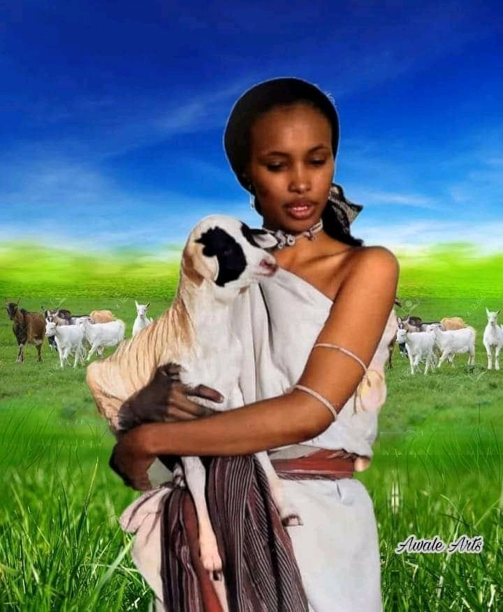 Mahamed86142198's tweet photo. Proud Somali!

Keep your identity and let me keep mine since your approach isn't helping to create something we all can claim as ours!

Proud to be somali and hey happy for everyone else to keep theirs but please don't mixed up, it isn't mine it's yours and yours only. https://t.co/zsEZ9NUn11