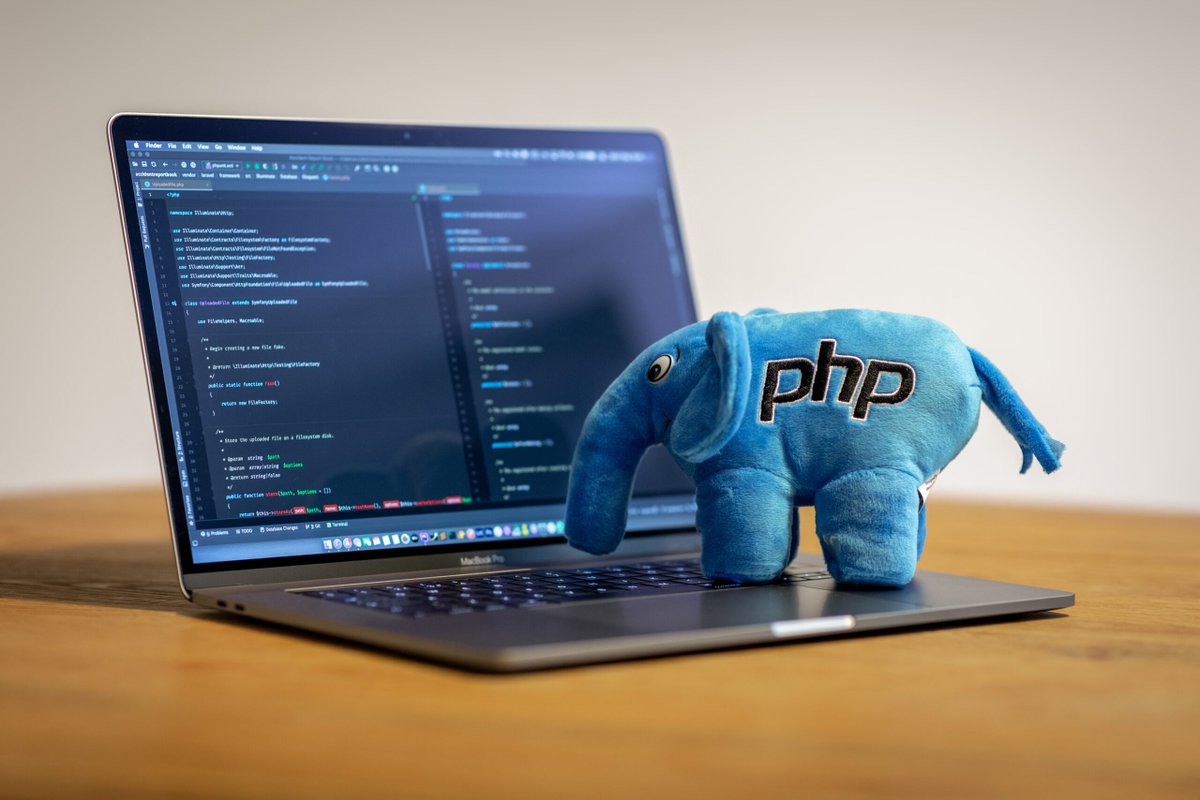 groot_up_'s tweet photo. A Well Researched List Of The Best Top 10 Programming Languages To Learn In 2021. Get To Know Which One's Popular &amp; To Earn The Most Out Of.
.
Visit The Blog For More - https://t.co/HYvSFkncpn
.
#programming #programminglife #programminglanguage #programmingisfun https://t.co/g3bW10nQHm