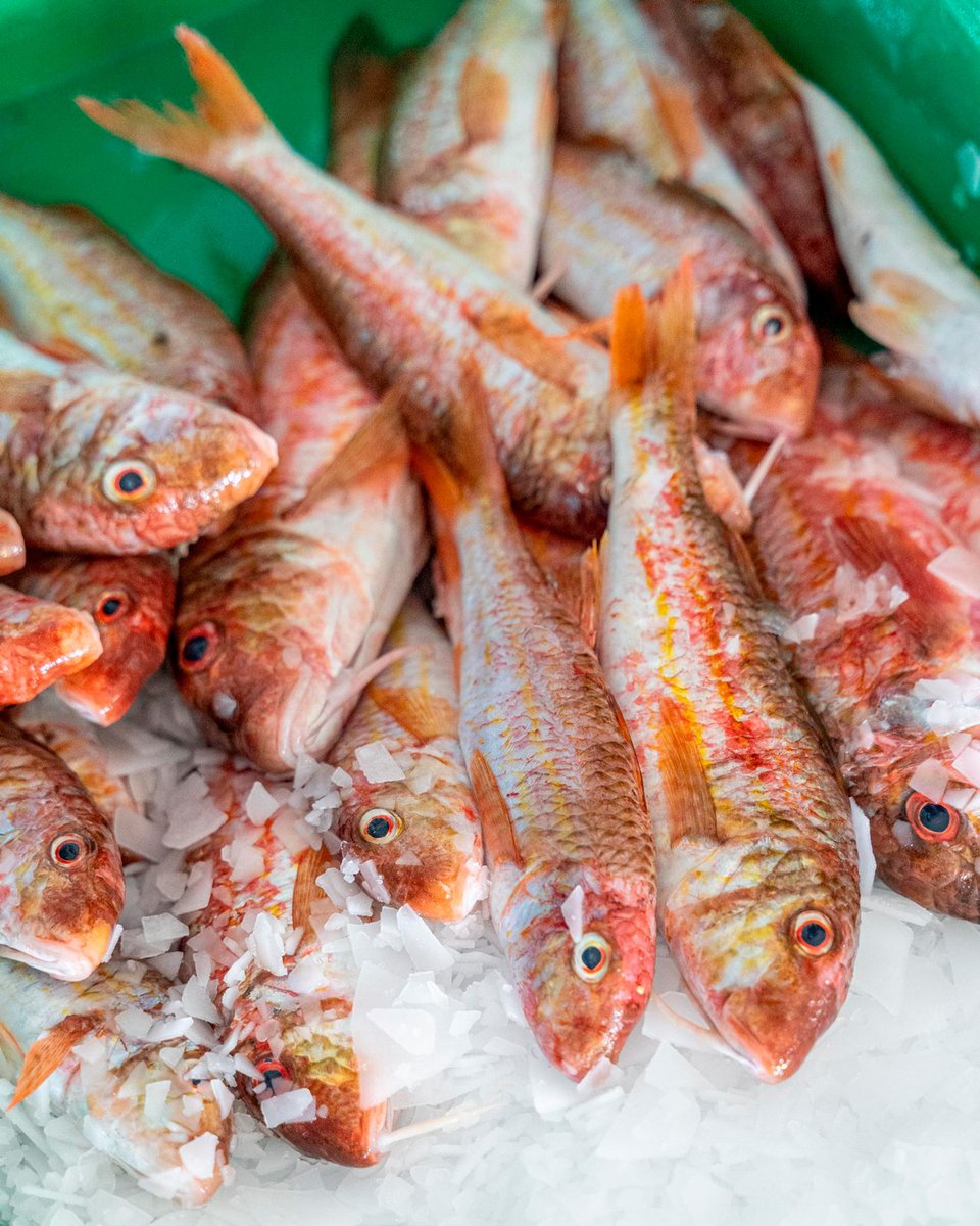 peixnostrum's tweet photo. En Peix Nostrum estamos muy ilusionados de anunciar la celebración de la 'IV Fira del moll i peixos de tardor'  que se celebrará el viernes 12 y sábado 13 de noviembre con degustaciones a cargo de la Cofradía de Pescadores de Eivissa y platos elaborados por 4 restaurantes🐟 👏🏻 https://t.co/tU814U6glo