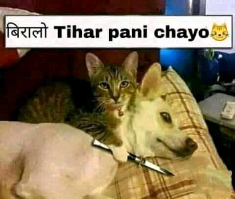 <a href="/maharani010/">👸</a> 🤣