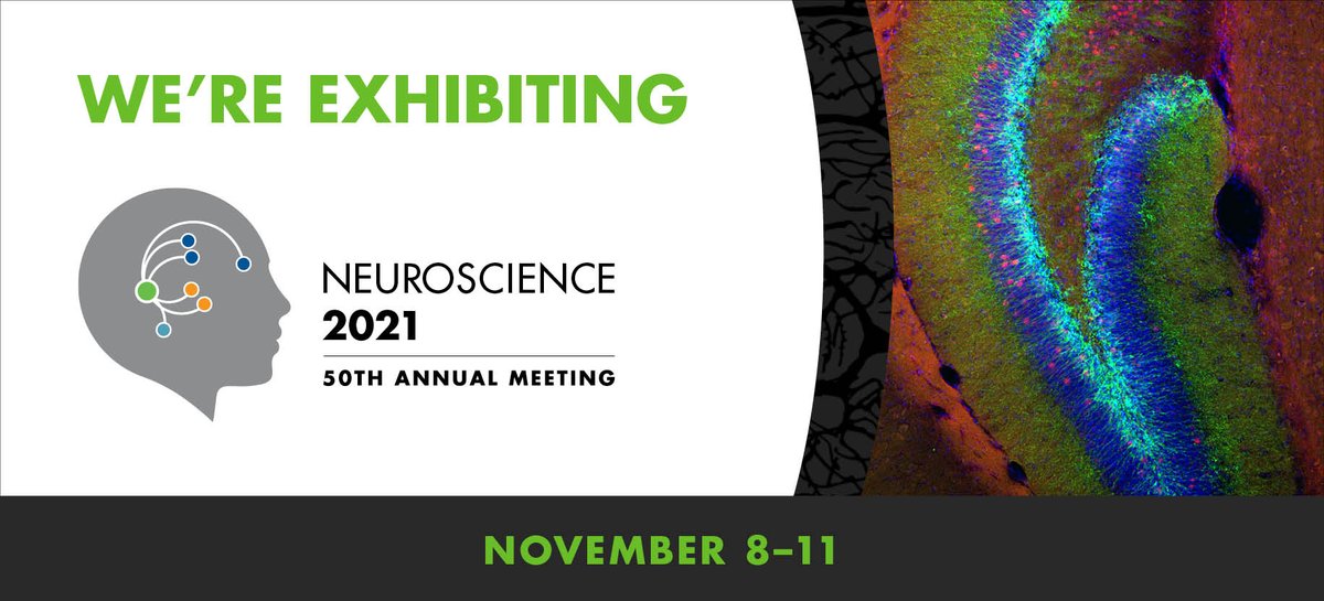 ProspectiveInst's tweet photo. Visit our booth at virtual #Neuroscience2021 & find out more about our #MPXseries #multiphoton microscopes, #FSXseries #femtosecond lasers & imaging services (#InhouseLab & #BookADemo device).
We are looking forward to chat w/ you!
@SfN_Events
#ProspectiveInst #microscopy https://t.co/oNaHLaGsB3