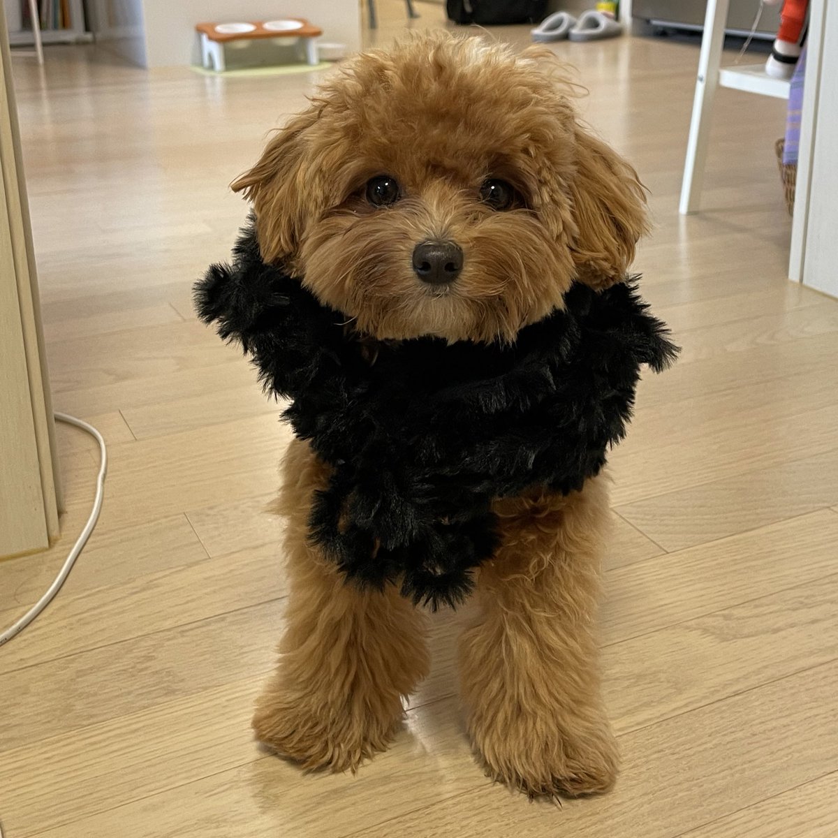 yelginggg's tweet photo. 어이 .. 금잔디 .. https://t.co/wnyqtwIOaI