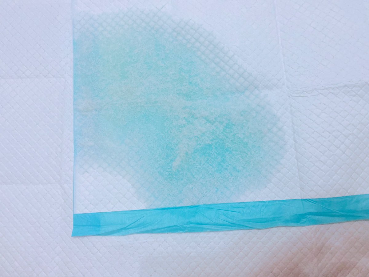 发现了一个神器，一次性小尿垫。 https://t.co/OuByl57HSt