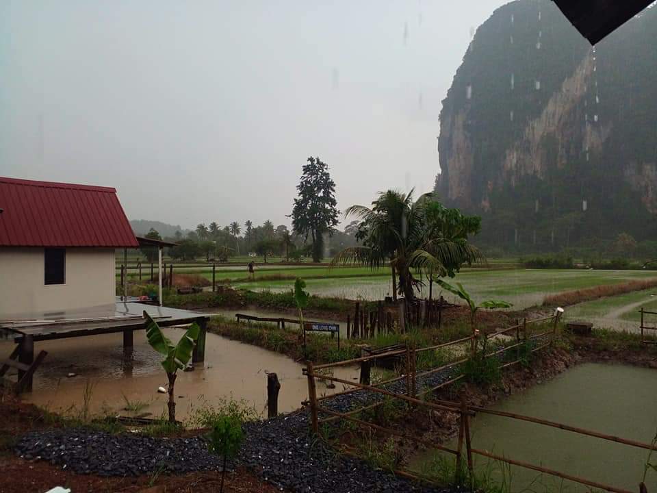 OhMyPerlis's tweet photo. Teringin nak makan ala kampung, privacy dan tenang? Di Chuping ada satu port, makan sambil layan pemandangan bukit dan sawah padi menghijau. Tempat ni belum lagi dibuka, dan Oh My Perlis akan menjadi tetamu yang pertama. Ada yang nak join kami? https://t.co/OT3rMy9oMc