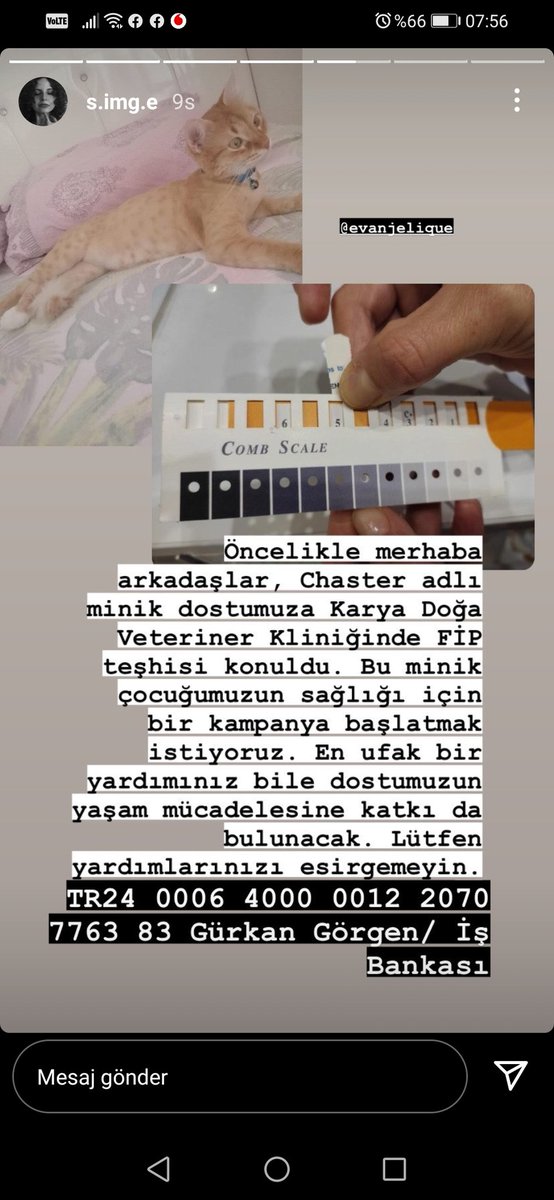 BirEytli's tweet photo. Az çok demeden bu cana nefes olalım onunda en az bizim kadar yaşamaya hakkı var 😔🙏 https://t.co/LyBq7m38to