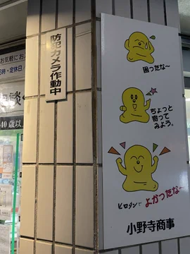 画像 / Picture