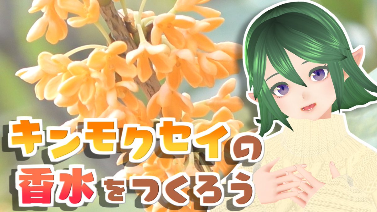 姫野 聖花 姫路生花公式youtuber 秋の香り キンモクセイ の香水を手作りしてみよう 作り方 T Co Jhi3noessf 秋の深まりを感じる 金木犀 の香り お花から香水を手作りしてみませんか 今年は開花が遅れている地域が多いようなので今