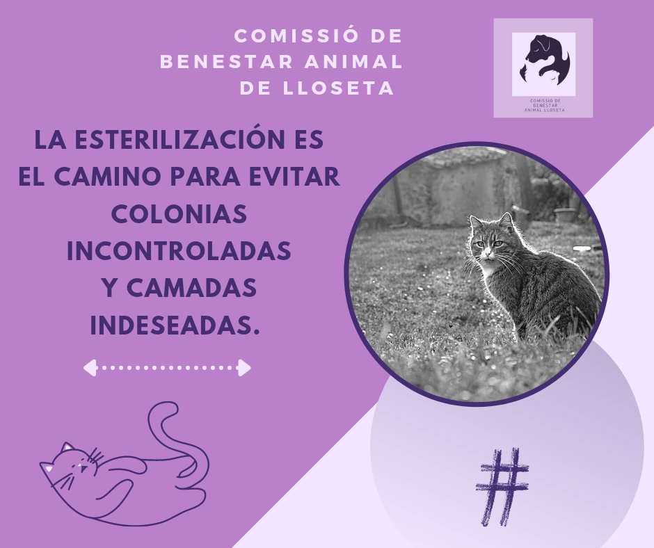 CBALloseta's tweet photo. #esterilitza #SalvemVides https://t.co/FicHvcEAUj