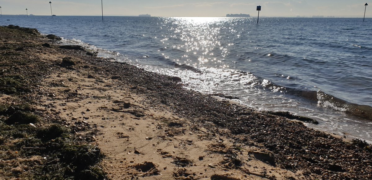 markmulligan's tweet photo. Great #KCLField day at #ThamesEstuary with @London_NERC_DTP students and @kclgeography @kclgeoglabs learning about #Mudflats #Saltmarsh #Flooding #NaturalFloodManagement #LowCostSensing with #FreeStation #ConservationTech and #RenewableEnergy https://t.co/0UGMQLVBsG
