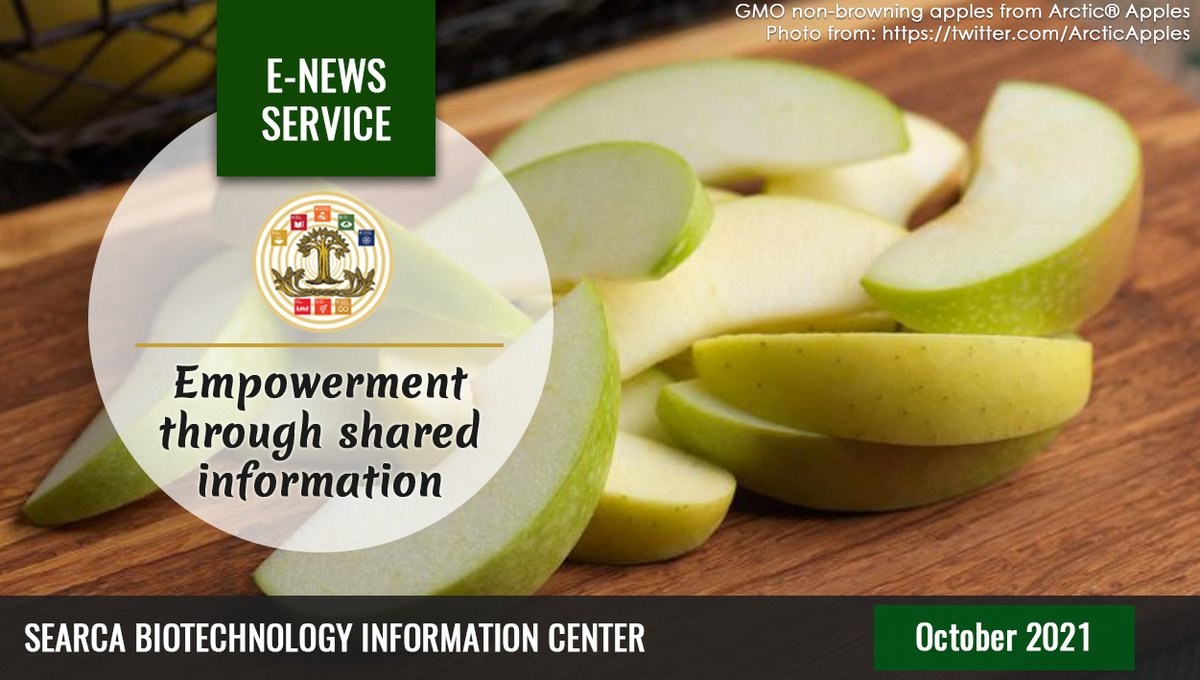 searcabic's tweet photo. SEARCA BIC Latest news on Agri-biotechnology, October 2021 - https://t.co/hPccgBkAss https://t.co/aO5VpXWhMi