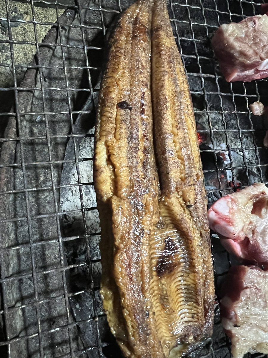 y_orb's tweet photo. 今日は一応お祭りってことで❗️

地元の神輿は今年もコロナで中止だからゆっくり炭おこして❗️

新米がうまい😁 https://t.co/iRMwzlL1ke