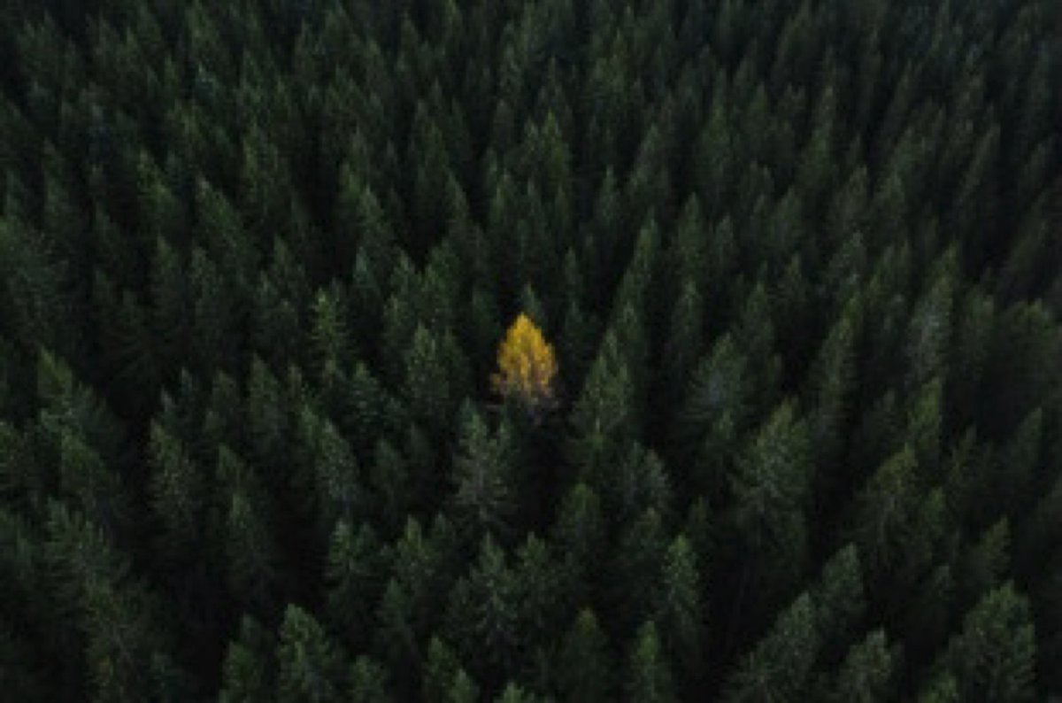 This new report from <a href="/PwC_UK/">PwC UK</a> highlights 7 challenges to building trust in climate reporting. It's the first in our Business Briefings series, aiming to support business leaders, boards and financial markets build trust and drive the transition to #netzero. pwc.to/3BEu5ef