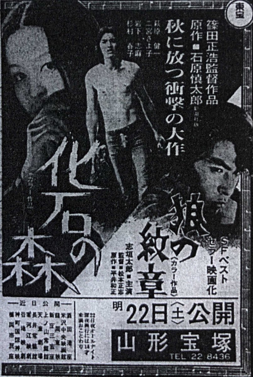 狼の紋章 Hashtag On Twitter