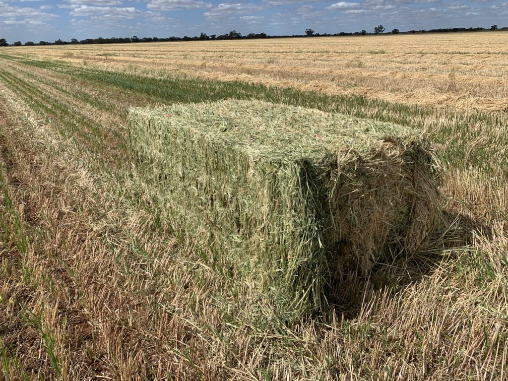 Been a busy few weeks on the hay job 
We have had a great team and have produced some top quality hay which after last year is very good to have in the sheds
Looking forward to the grain harvest hopefully the rain can hold off 🤞