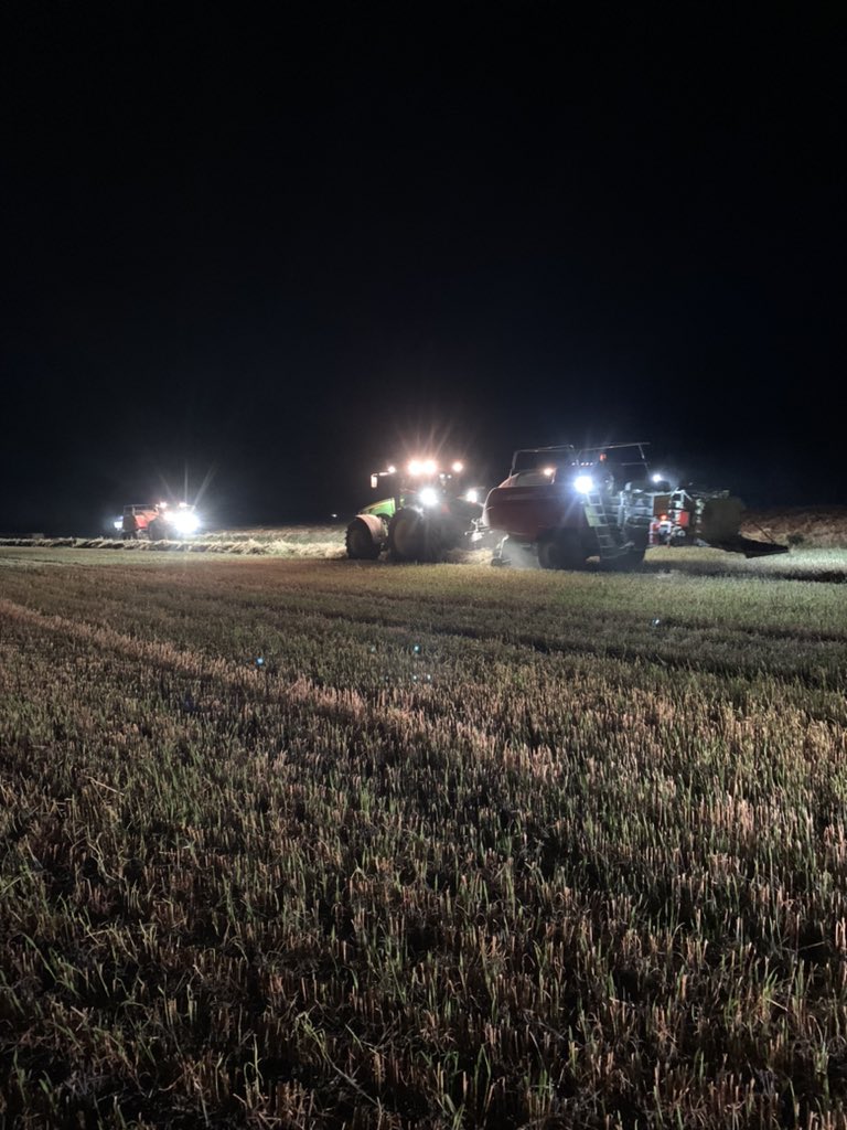 Peter Sexton tweet media