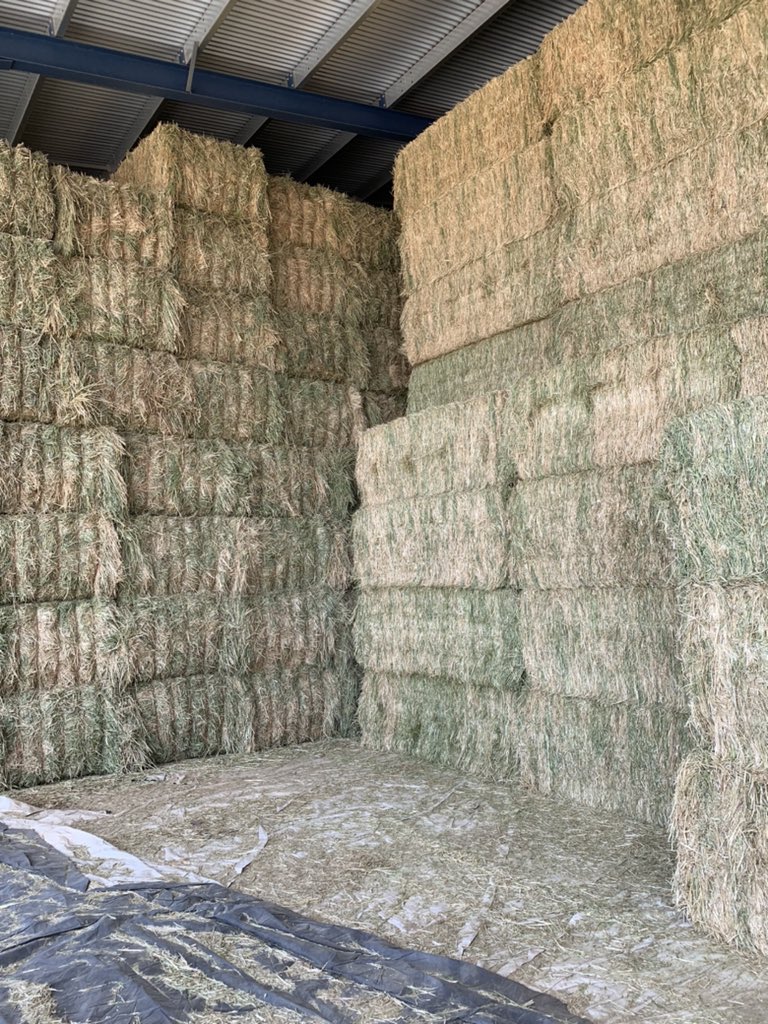 Peter Sexton tweet media