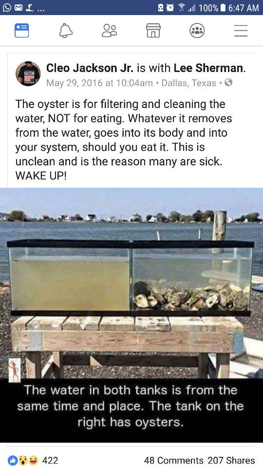 Cashisnotking1's tweet photo. About Oyster 🦪 

#HealthTPS https://t.co/QQh3Pjoq24