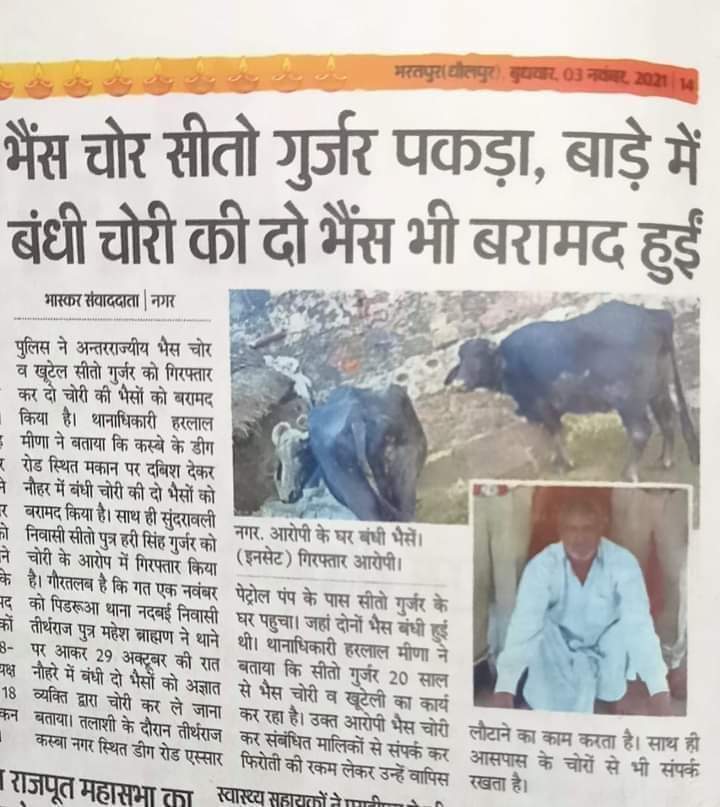 Tej_Rajput_'s tweet photo. असली उपाधि तो यह है अंतरराज्यीय भैंस चोर 🤣🤣 खबर की पहली लाइन पढो 
 
अब कहा गए भैस चोरो 
#भैस_चोरो यह है तुम्हारा इतिहास 👇🏻 https://t.co/l9eJrSCmyI