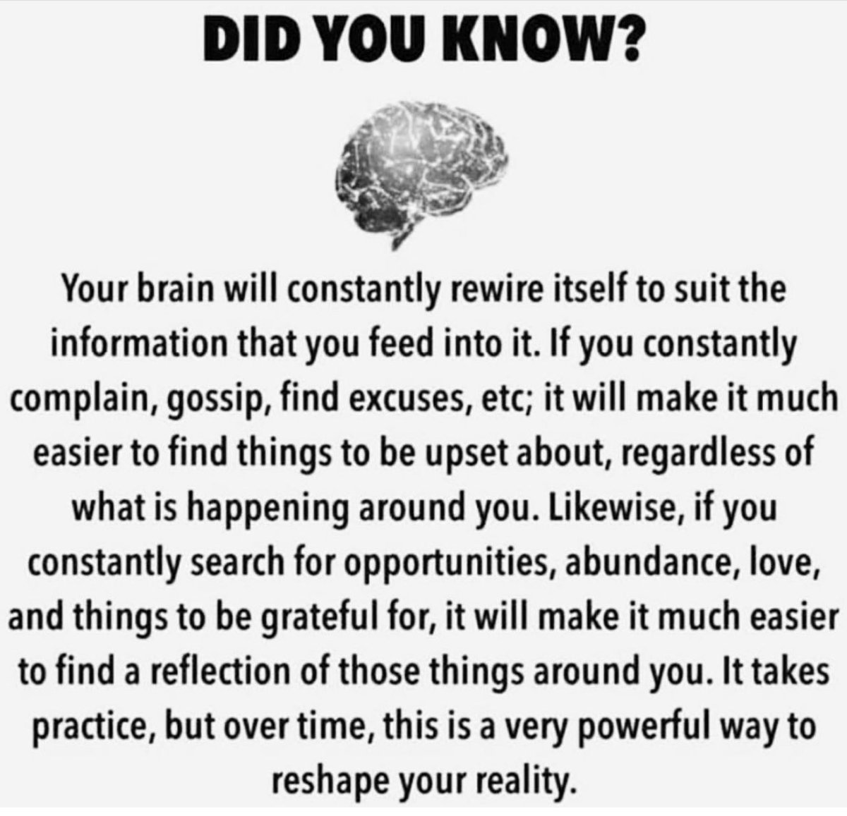 hodakotb's tweet photo. Good am!!! Happy wednesday! Thx @LeahRemini for this one! https://t.co/auigulgoFd