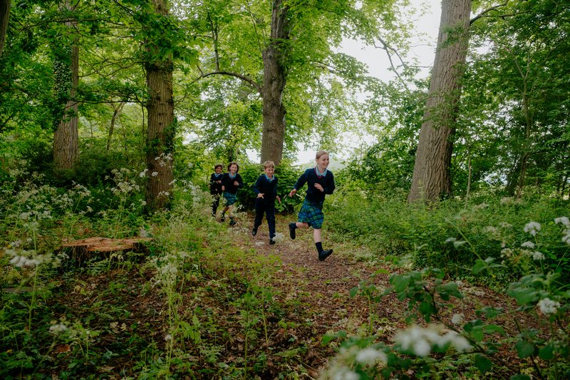 pinewoodprepsch's tweet photo. Welcome back! We hope you have had a restorative half term break and are ready for another exciting term!
#pinewoodprepschool #historicbuildings #makinglearninganadventure https://t.co/kyAvUCVKmp