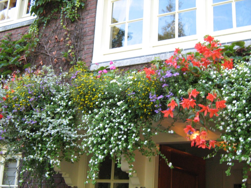 GDijkhuyzen's tweet photo. @LeslieMarshall  they don't deserve a minute of your time! Millions listen/watch you including my entire family! Our balcony of flowers for you!(Mummy planted all of it!)You are smart&amp; beautiful!Keep up the good work! https://t.co/rsdxhgDz0N