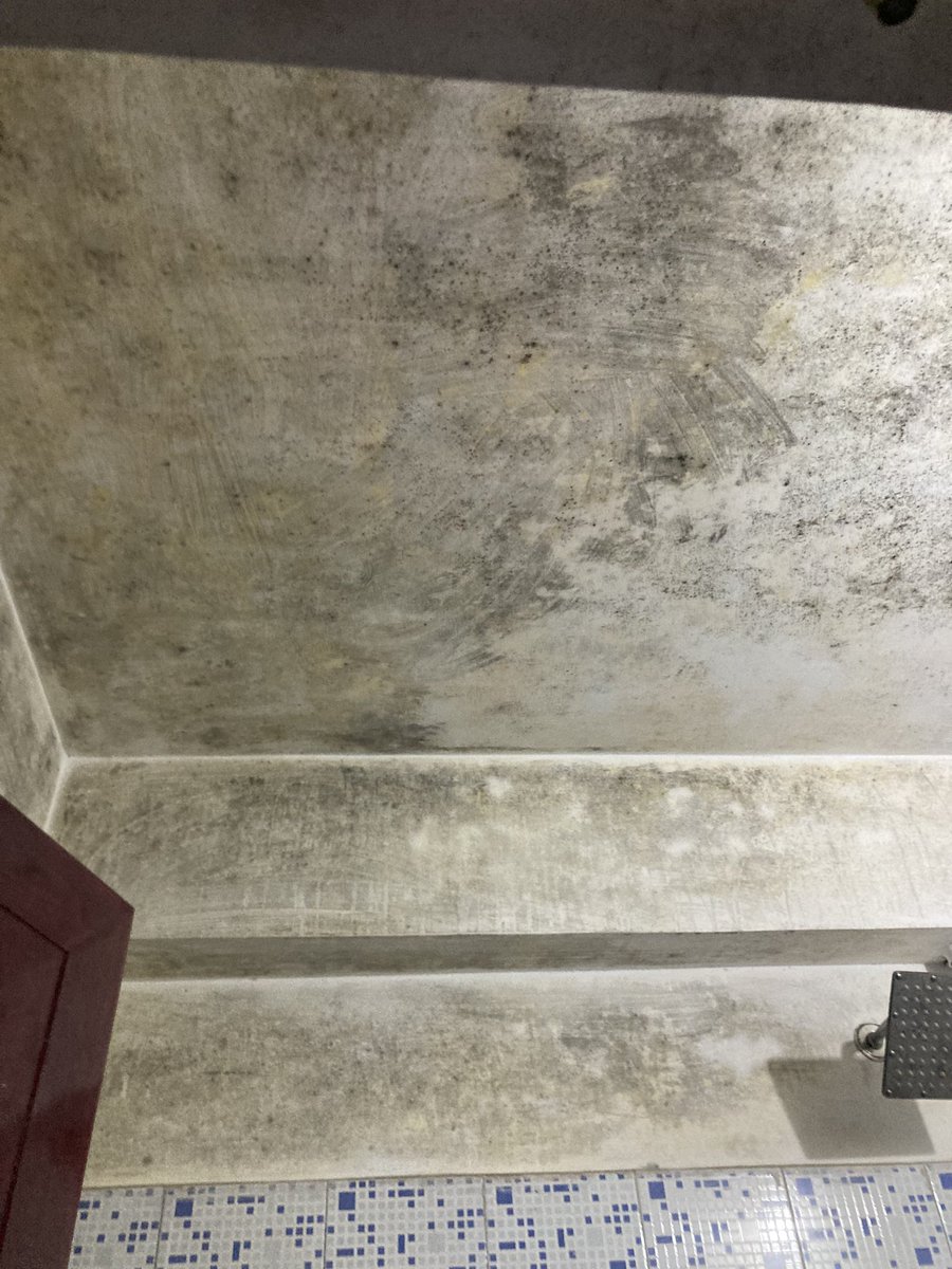 virtuallysekar's tweet photo. @oyorooms I checked out a oyo within 15 minutes because of sanitation issues. And checked in with another oyo room same night now your team is refusing refund. Here is how the room looked you tell me how clean it is https://t.co/FDEjky1hJa