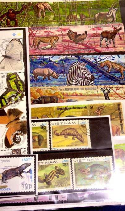 オークションで買った切手類がまとめて届いた
レイアウト考えるぞー 