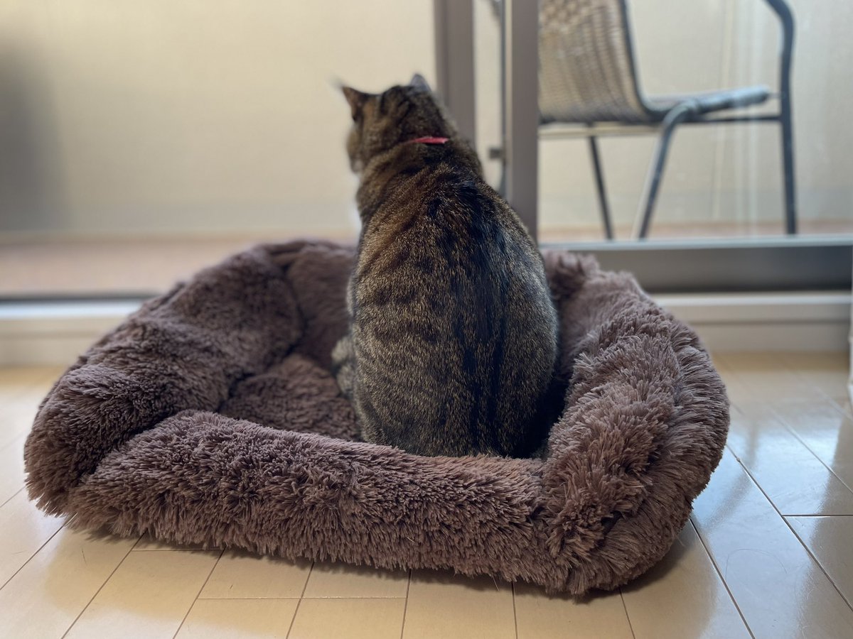 MAN@4/13アカイエ tweet media