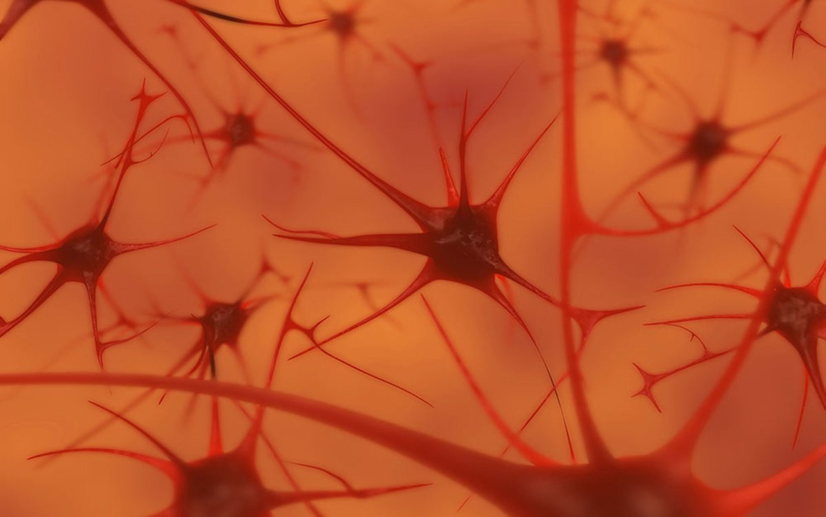 DavidGurteen's tweet photo. The empty brain: Your brain does not process information, retrieve knowledge or store memories. In short: your brain is not a computer https://t.co/VfINuJhL3J /Thanks @jhagel - the best explanation I have seen yet as to why the brain is nothing like a computer! #KM #KMers #brain https://t.co/dC7AkreENR