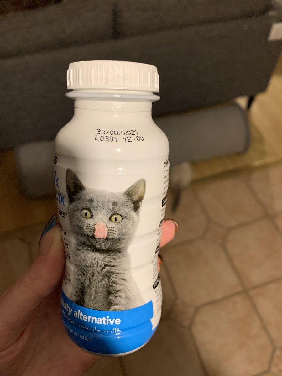 JennySully's tweet photo. @LoveWilko Hello! I bought some cat milk for our kitten yesterday, I was just about to give some to her when I noticed it went out of date in August?! Thank goodness I spotted it as this could have made her quite unwell! https://t.co/Rt7ElBcFVO