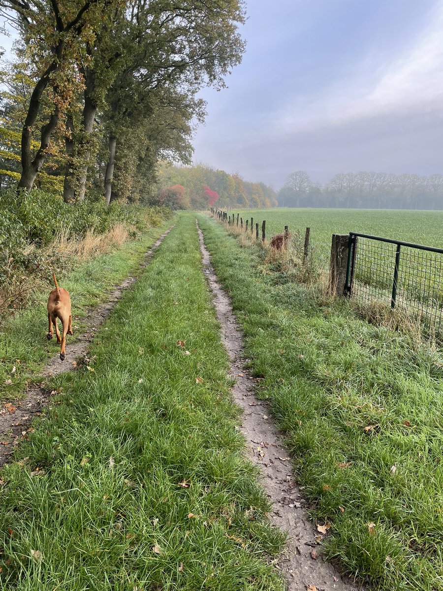 AltCryptoGems's tweet image. Morning walk 🌞