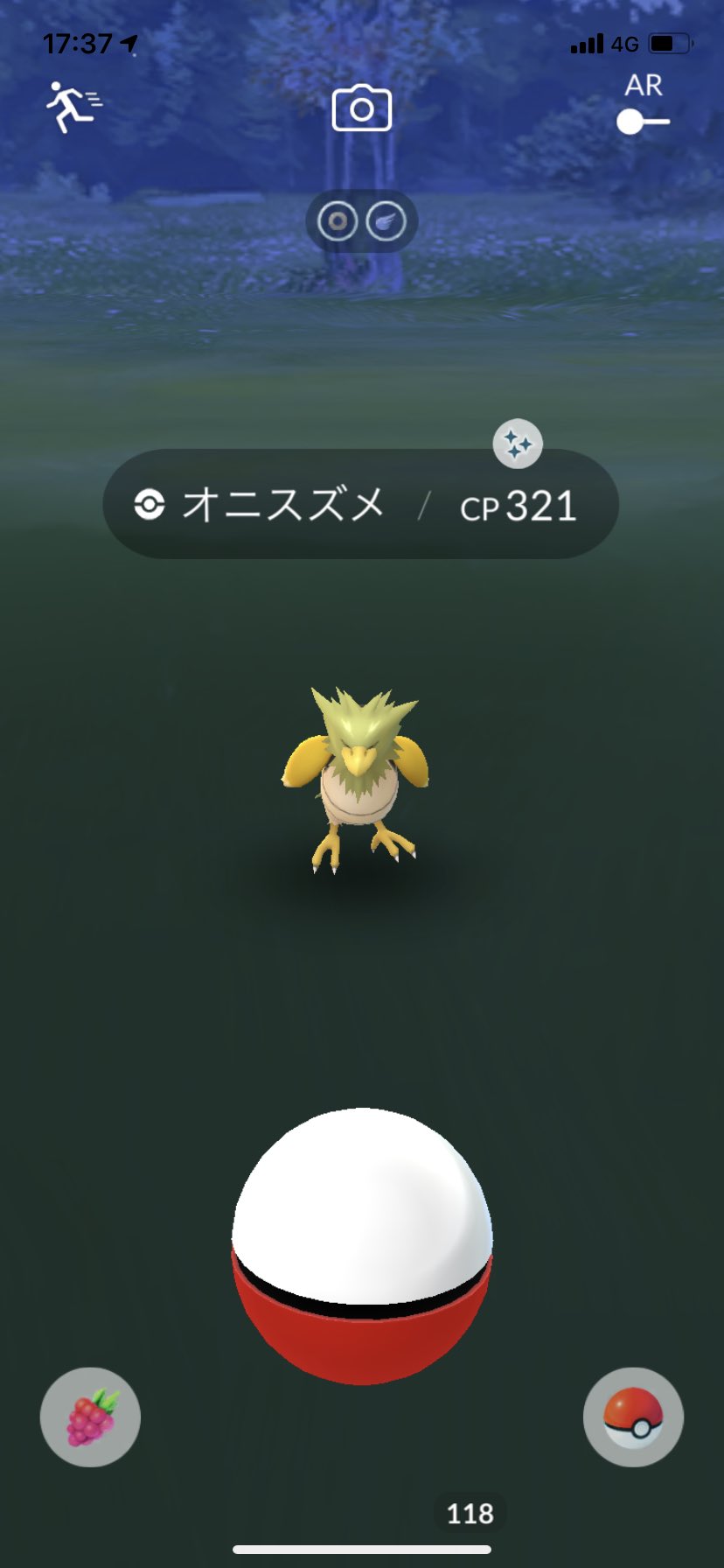 ポラリス En Twitter ポケモンgo 色違いオニスズメが来ました 2匹目なのでオニドリルに進化させました ポケモンgo 色違い オニスズメ オニドリル T Co Zxtgvtcmbb Twitter