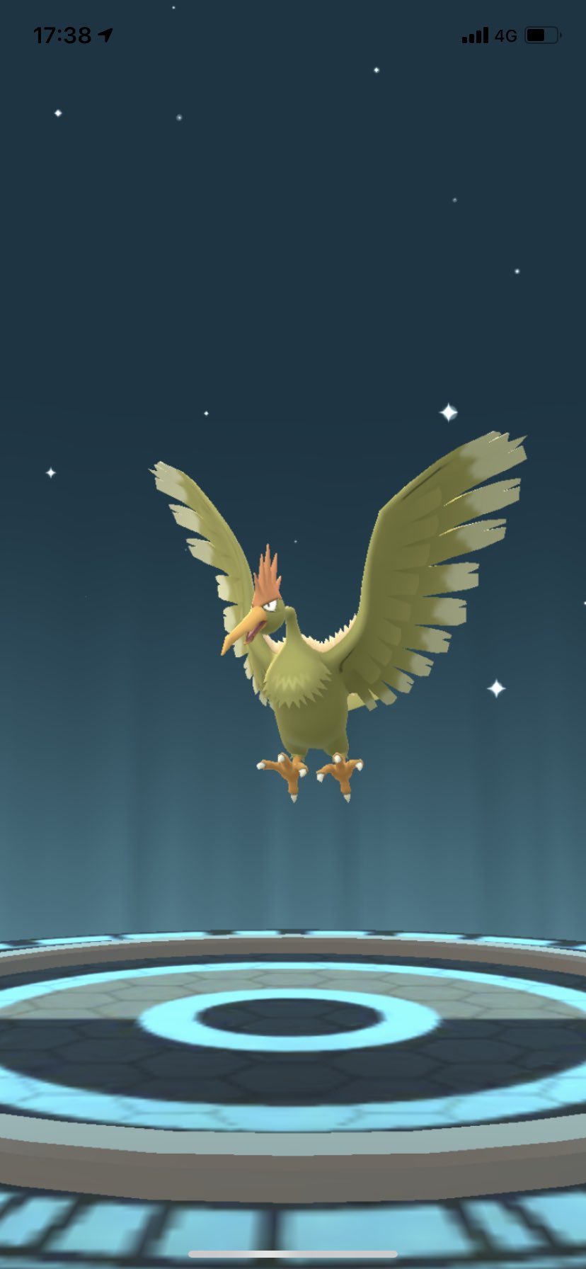 ポラリス En Twitter ポケモンgo 色違いオニスズメが来ました 2匹目なのでオニドリルに進化させました ポケモンgo 色違い オニスズメ オニドリル T Co Zxtgvtcmbb Twitter
