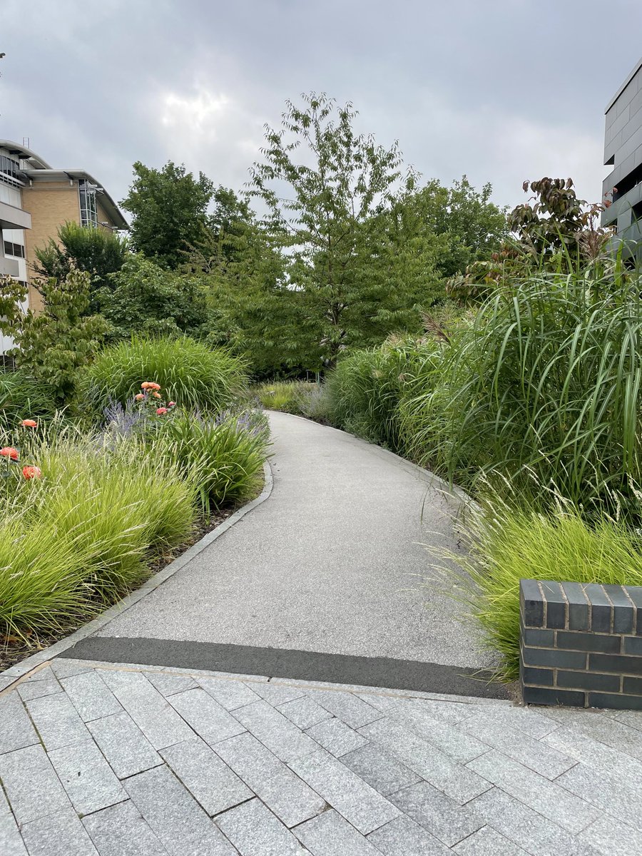 Hannah Love tweet media