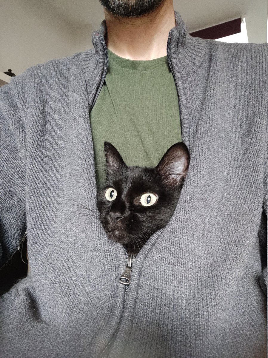 ElGatoPicasso's tweet image. ❄️#WinterMod ON