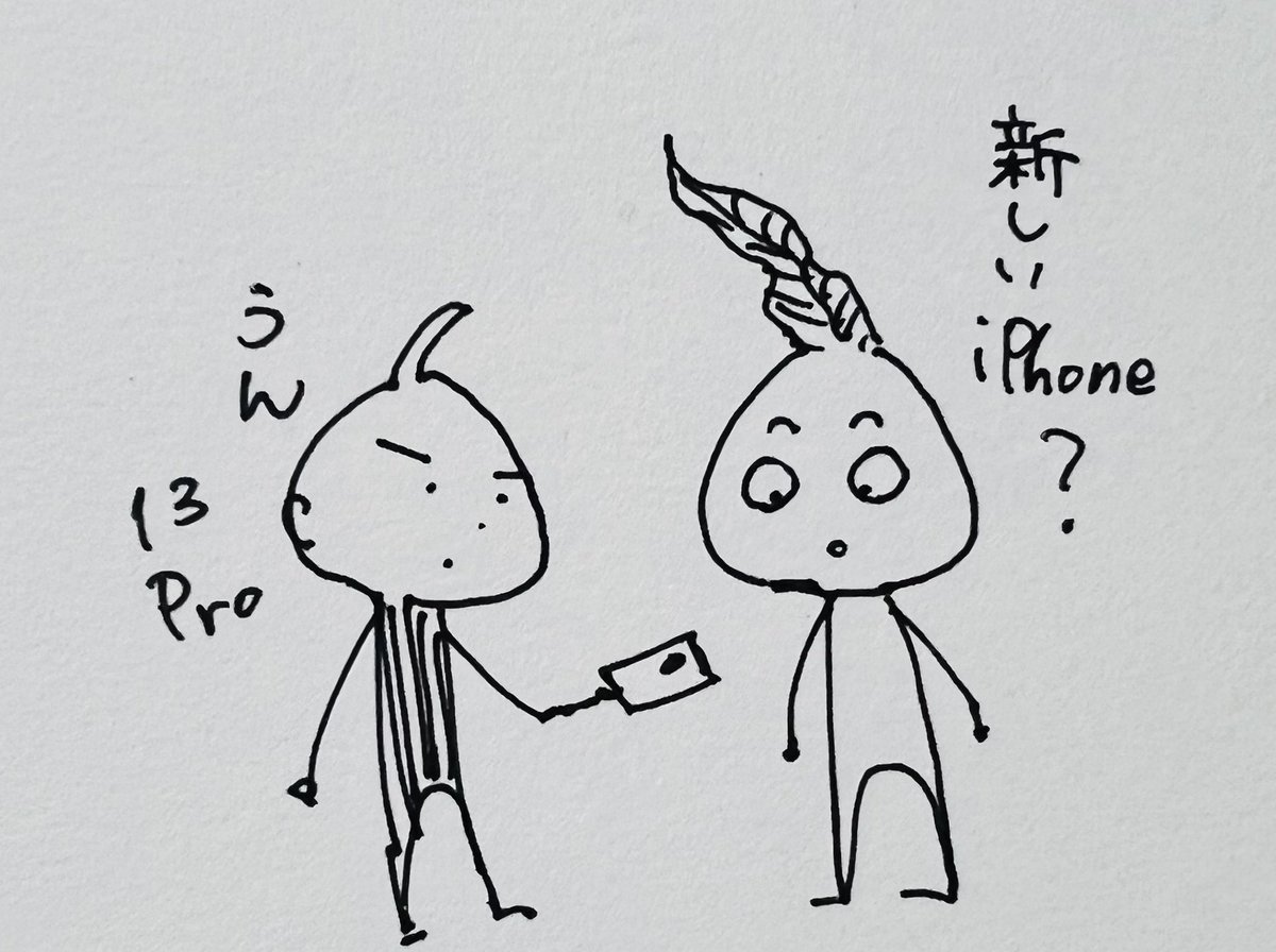 アデニウムオベスム 