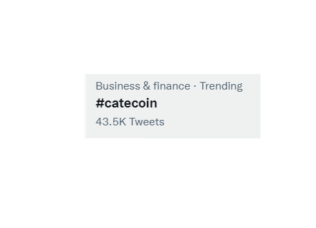 Trending on #LunarCrush:

"#catecoin 🔥🔥🚀🚀🚀🚀🐱... " via @cateclub

Top coin mentions
$cate

lnr.app/s/pYJd6d #LunarShare