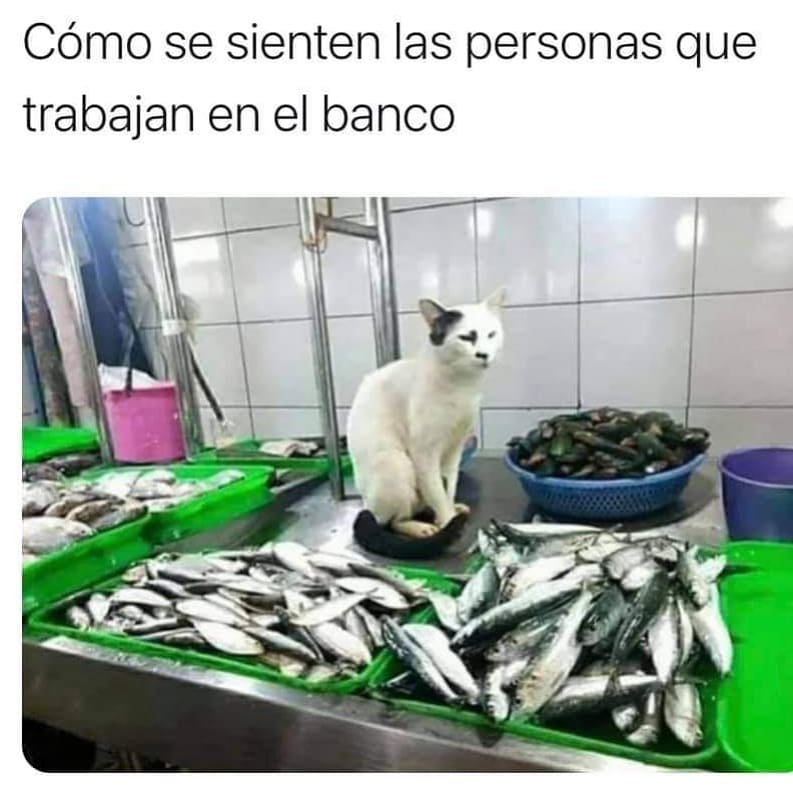 Creación banco nacional en 1782
#2bachHistoriaPresen 
<a href="/tamicbm/">TamiCobos</a>