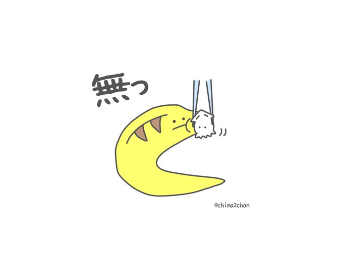 今日の、ごはんを食べないウツボ 