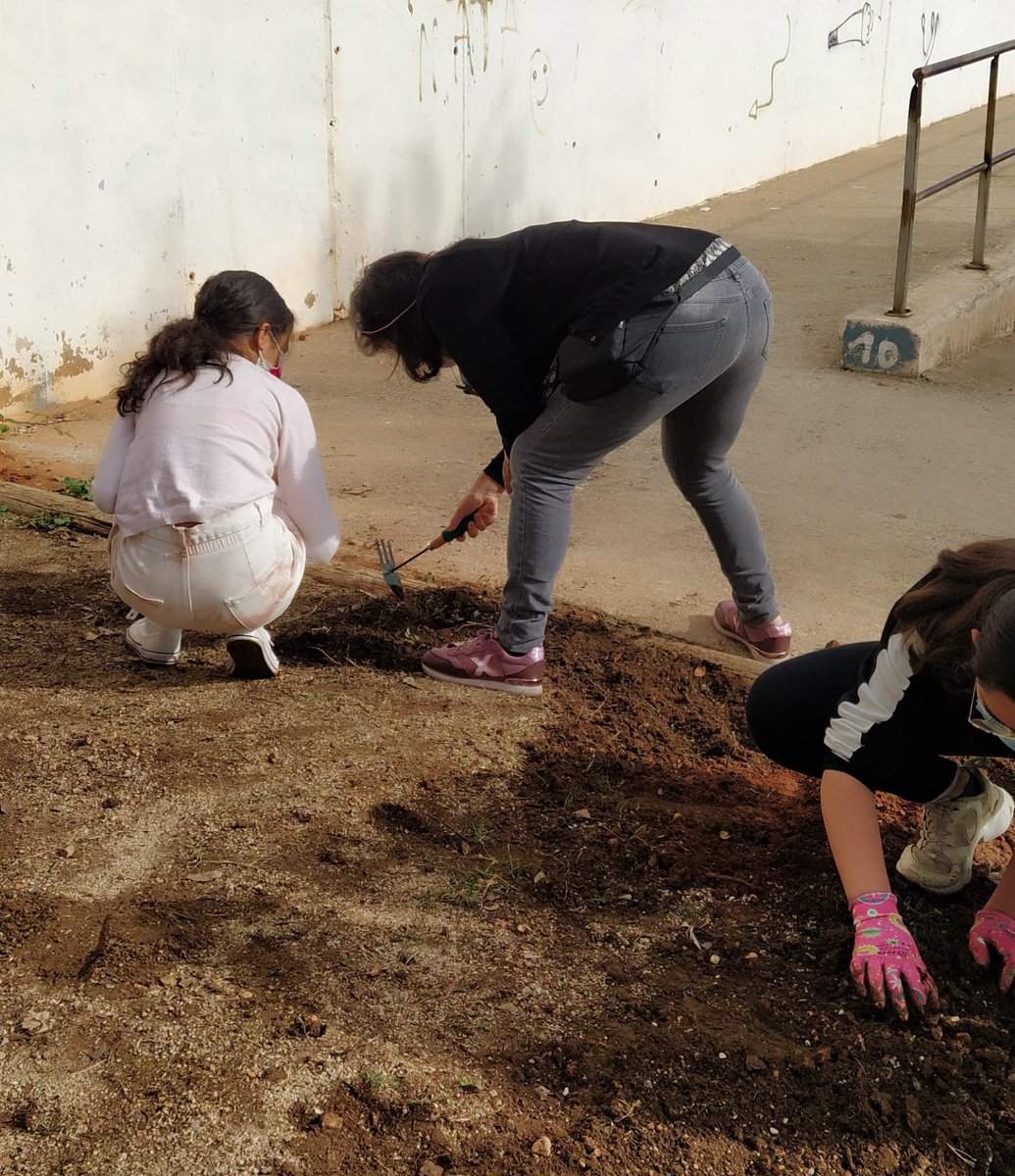 Institut Júlia Minguell tweet media