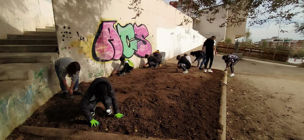 Institut Júlia Minguell tweet media