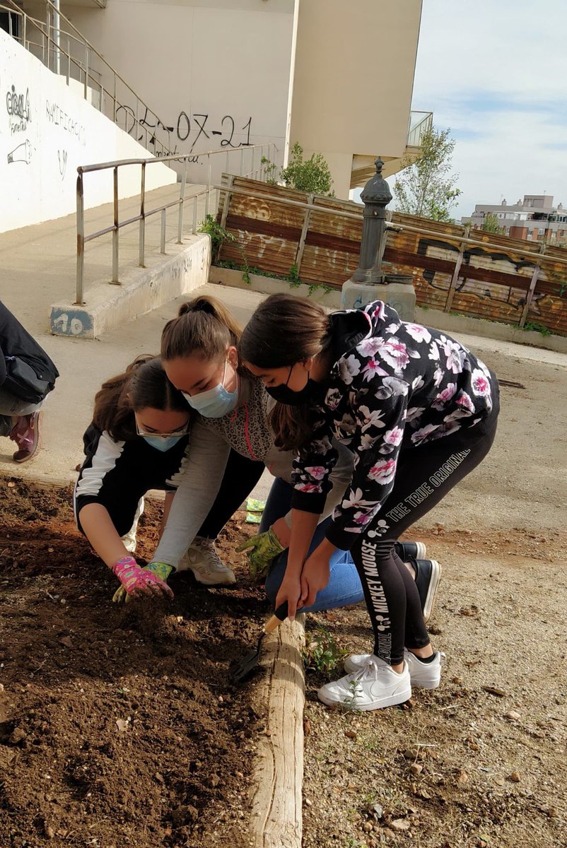 Institut Júlia Minguell tweet media