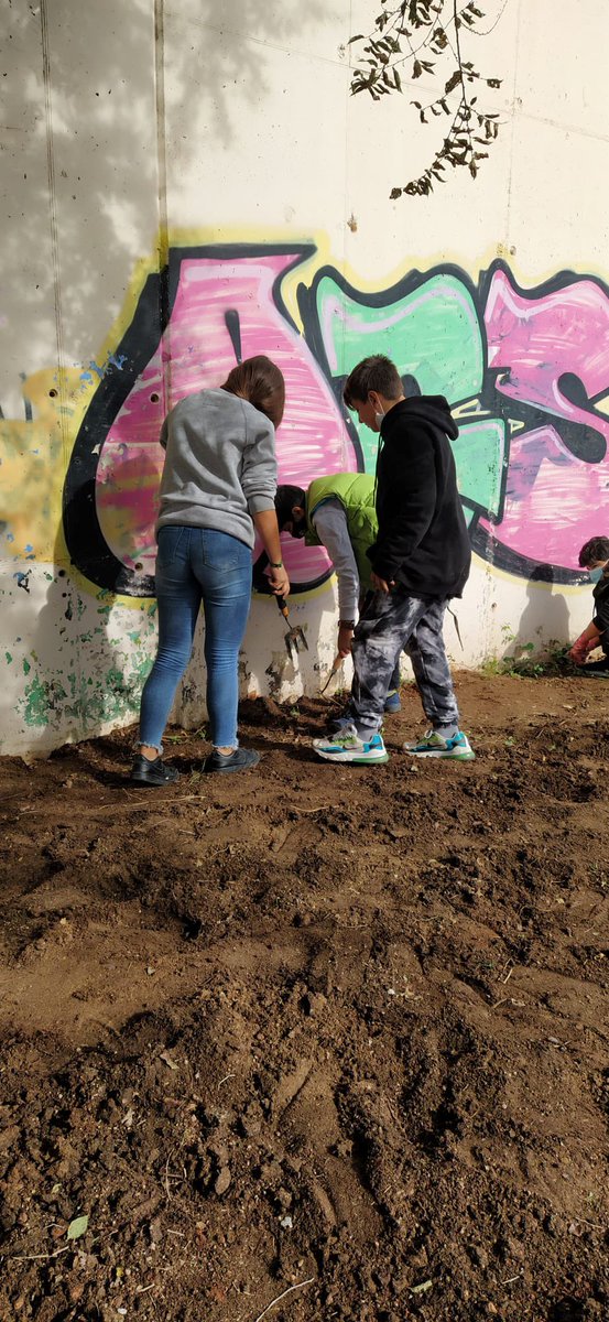 Institut Júlia Minguell tweet media