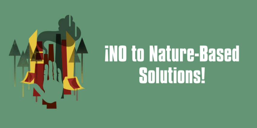 GFC_forests's tweet photo. 257 groups say NO to nature-based solutions!
https://t.co/lK1xhry0EB
#FalseSolutions #NotOurSolutions https://t.co/Y4iUVQl6g6