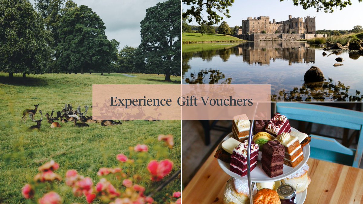 Gift Vouchers