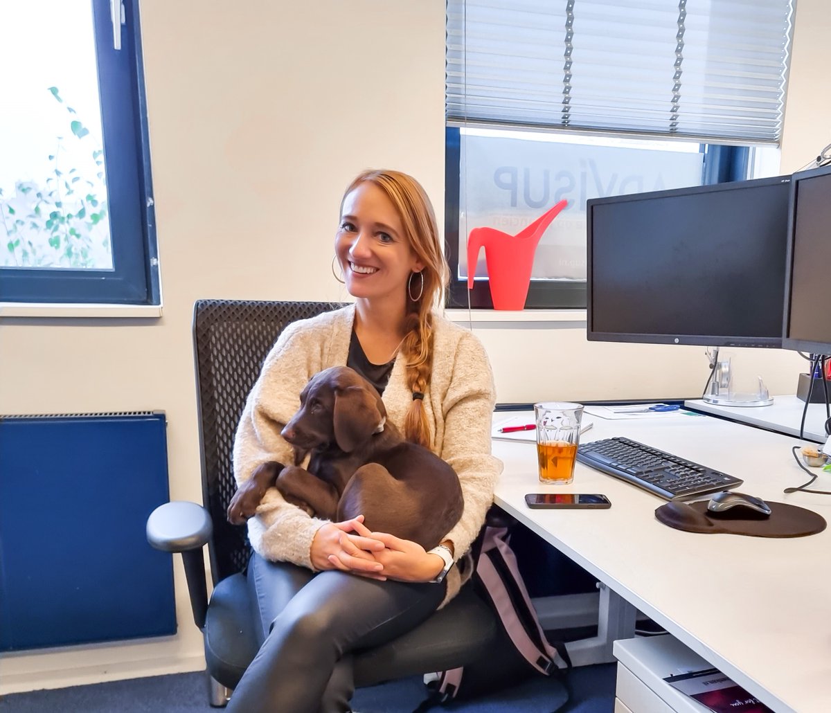 AdViSup's tweet photo. Wie ons kent, weet dat we altijd een #kantoorhond hebben gehad. De afleiding en de dagelijkse wandelingen zijn goed voor iedereen, alleen dat ontbrak nu. Tijd voor verandering! Maak kennis met Sam, de pup die ons nu al veel beweging geeft!🐶

#kijkjeindekeuken #ondernemerschap https://t.co/twM4OELTP3