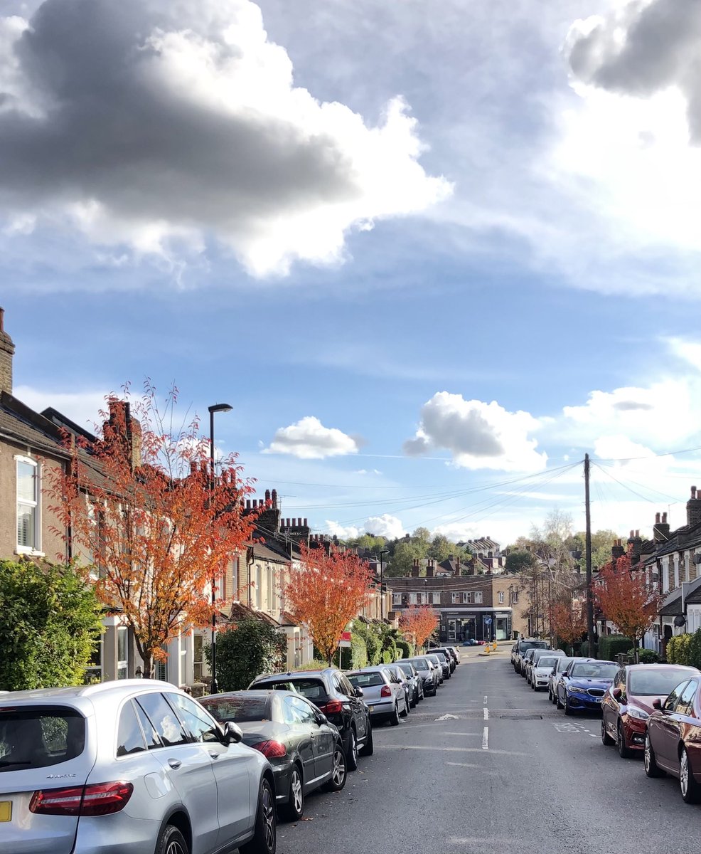 JaneCanDoSE4's tweet photo. This was the view from my house yesterday👏Whilst I’d 💕NOT to see all these🚗 🚙 Seeing the beautiful street trees in Autumn🍂🍁makes me very happy-HUGE Thks again to @STfLLondon for Greening our Borough #GreatOutdoors #TreesAreImportant #HelpingTheEnvironment https://t.co/NXNnaNxQuT