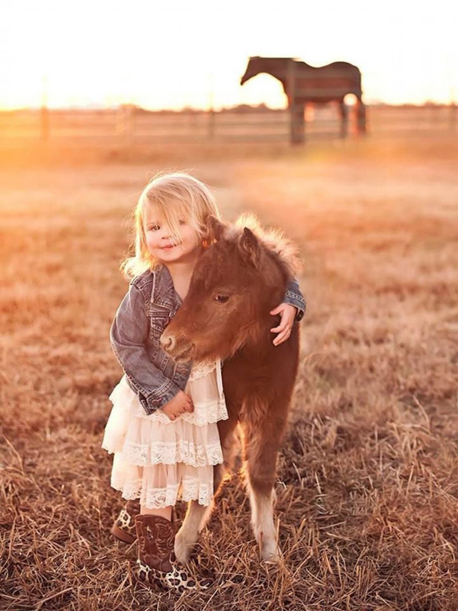 noveliciouss's tweet photo. We need Joy as we need air. We need Love as we need water. We need each other as we need the earth we share.
Maya Angelou https://t.co/a1mpepV8eJ