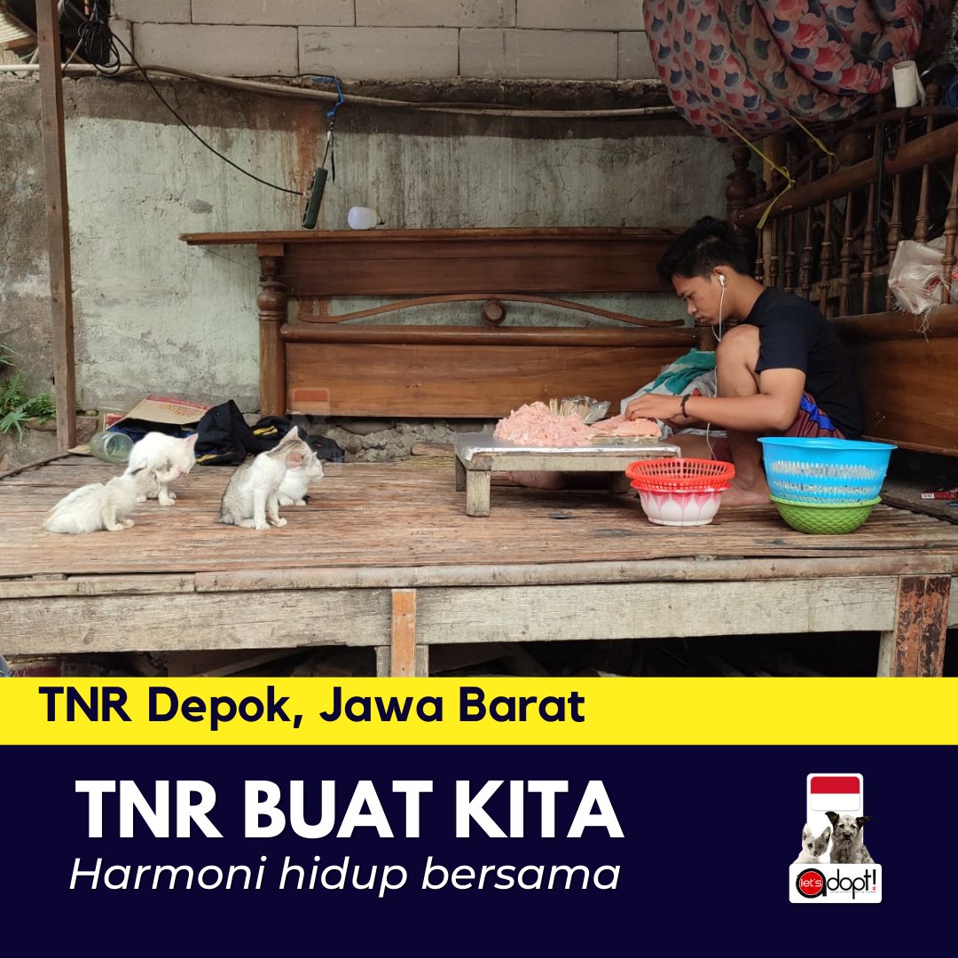LetsAdoptInd's tweet photo. Bersama @NbrhoodCats, @leonvetsgroup , Rumah Steril , Sobat Satwa Depok dan @HappyCat_ID , Let's Adopt Indonesia berhasil melakukan TNR kedua di Depok, Jawa Barat.

Kali ini, yuk kita bahas manfaat TNR buat kita (manusianya) https://t.co/DKPXF3h3Pl